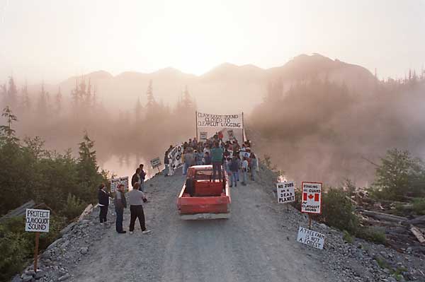 clayoquot forst protest